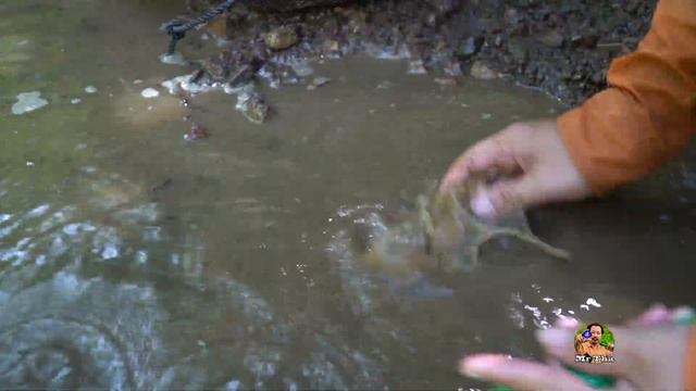 Finding Natural Ruby, Sapphire And Red Zircon Gemstones In River, How To Mining Natural Gemstones