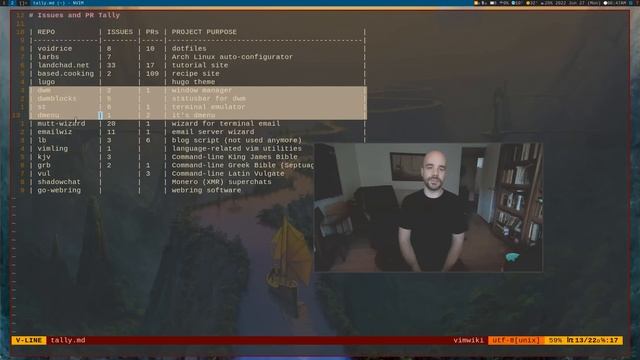 I SOLVE ALL ISSUES (and PRs) IN ONE WEEK! (git on my level) смотреть онлайн