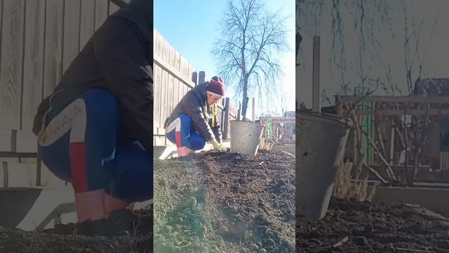 Огородный сезон!Работы очень много ? смотреть онлайн