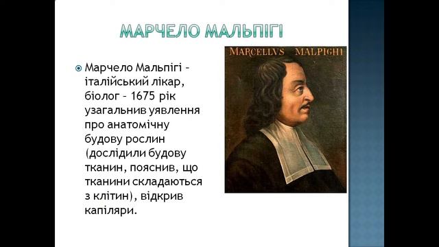 Презентація Клітина смотреть онлайн