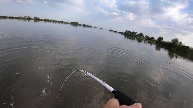 Крупный сом на квок! 32 кг. Нижняя Волга! Июль 2022 смотреть онлайн