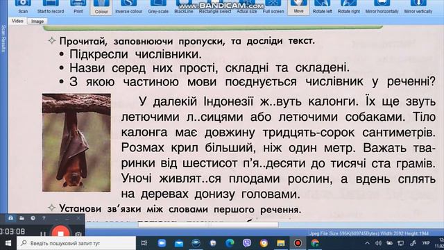 Українська мова 3 клас ч.6(2) урок 13 смотреть онлайн