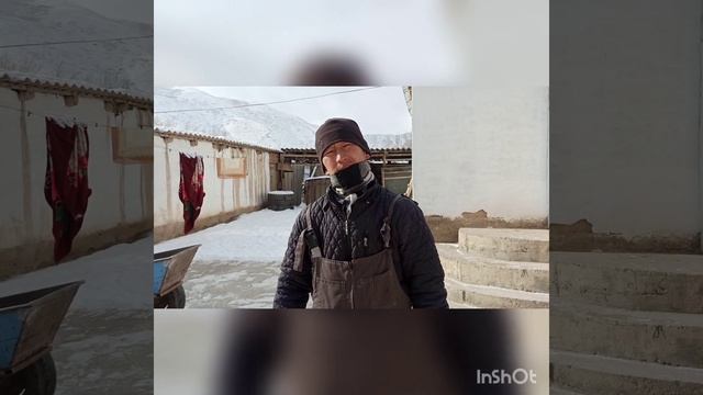 Нарын область Кыргыз Тайганы атылган айыл смотреть онлайн