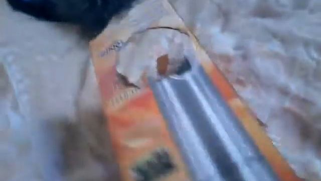 Как развлечь морскую свинку/Самоделки/ смотреть онлайн