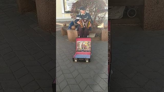 Иван Николаевич Чайка играет на гармони смотреть онлайн