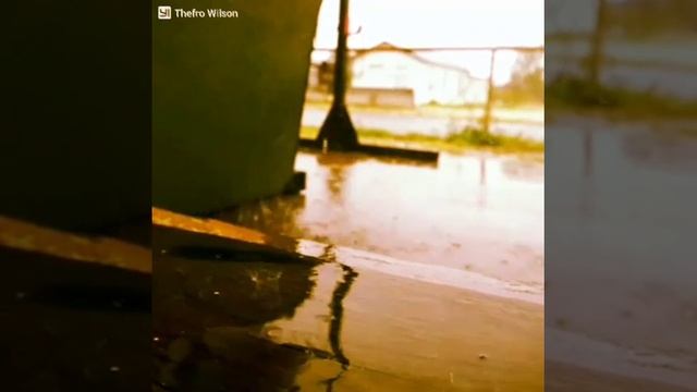 Yi M1 Slow Motion (part 2)