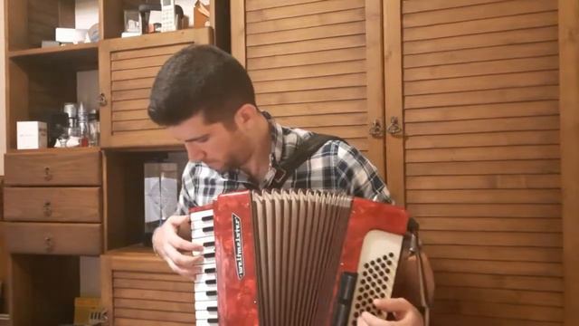 coy crane by mehrdad mehdi-accordion смотреть онлайн