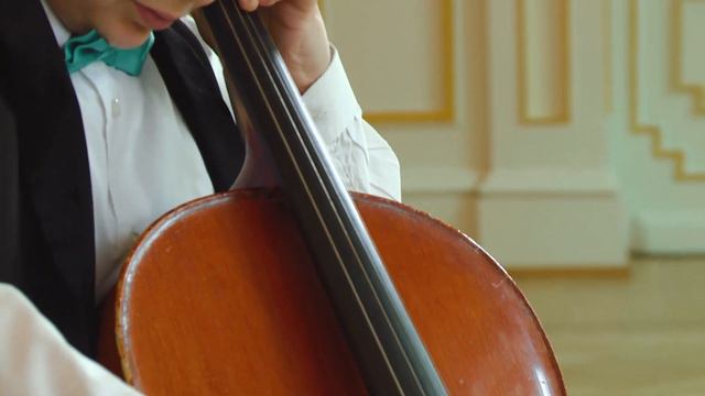 Eduard Kiprsky - Ragtime for violoncello and piano смотреть онлайн