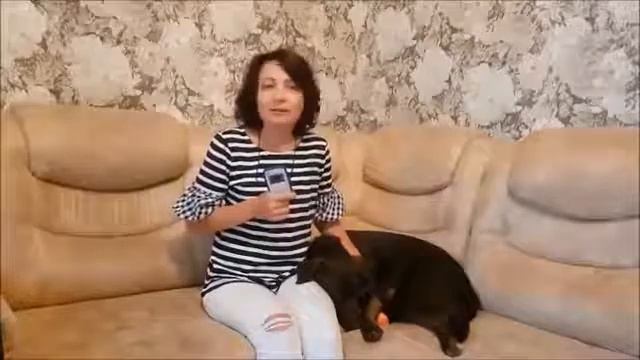Домашний доктор Life Balance смотреть онлайн