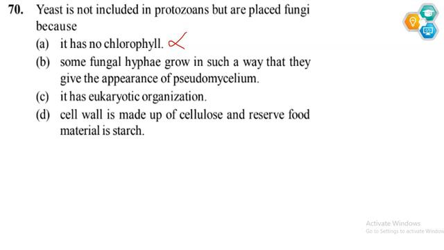 Yeast is not included in protozoans but are placed fungi because (a) it has no chlorophyll. NTA NEE смотреть онлайн