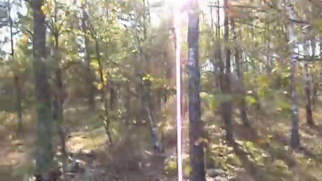 Поход за Белыми грибами . 2018 год .Часть третья . смотреть онлайн