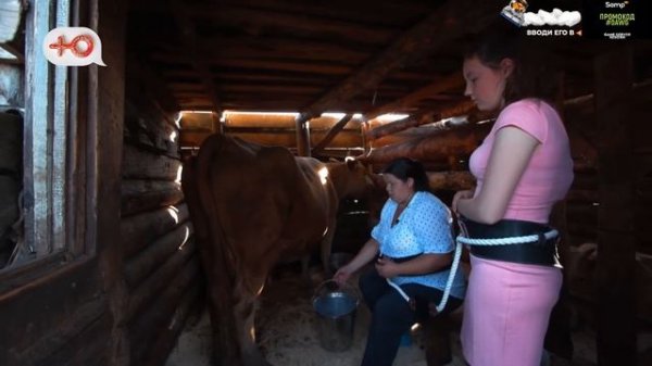 DAWG, ALISON, DAN СМОТРЯТ ШОУ ДОЧКИ-МАТЕРИ (20.09.2019)