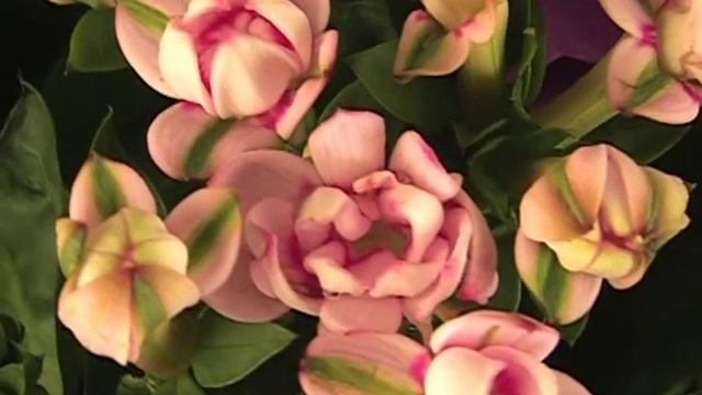 Букет "Цвет лаванды" от Flower-shop.ru смотреть онлайн