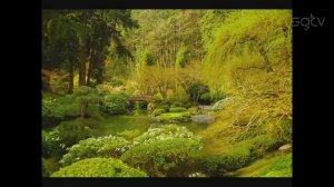 Видео-обзор Total War Shogun 2[stopgame.ru]