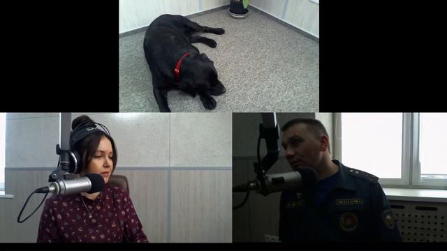 ВРЕМЯ БЕЗОПАСНОСТИ с кинологом МЧС Сергеем Язинским на радио "СТОЛИЦА" смотреть онлайн