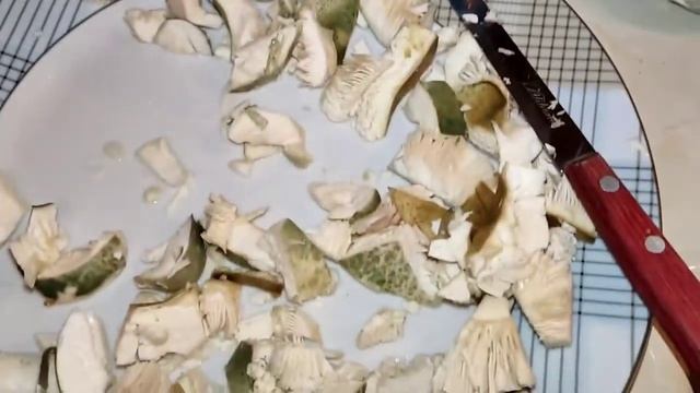 Έφαγα την Russula Virescens. смотреть онлайн
