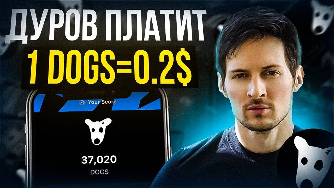 Dogs. Увлекательная игра догс