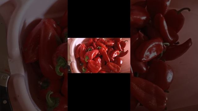 САМАЯ КЛАССНАЯ АДЖИКА!!! смотреть онлайн