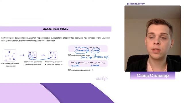 Химическое равновесие | Саша Сильвер | ЕГЭ 2023 | SMITUP смотреть онлайн