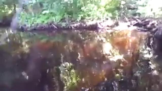 Сплав по Удаю при высокой воде смотреть онлайн
