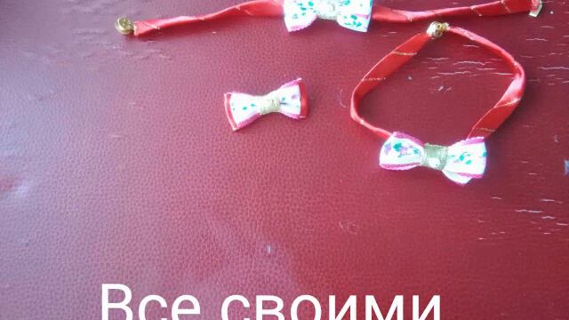 Бантики , ошейники для маленьких сабачек. Браслеты. смотреть онлайн