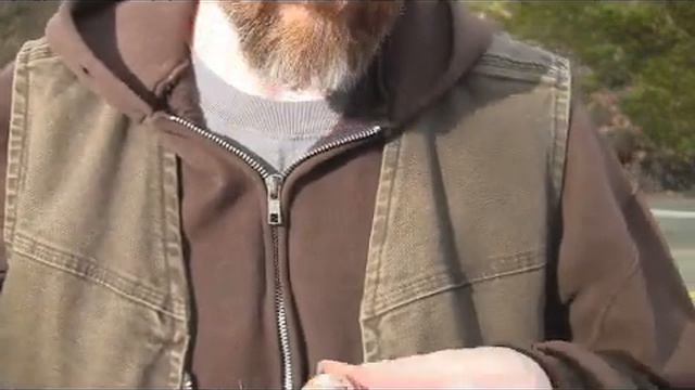 Roadside Scavaging: Winter Bulbs смотреть онлайн