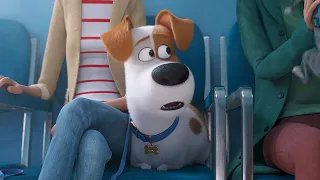 Тайная жизнь домашних животных 2 - Трейлер №2 HD 2019 смотреть онлайн
