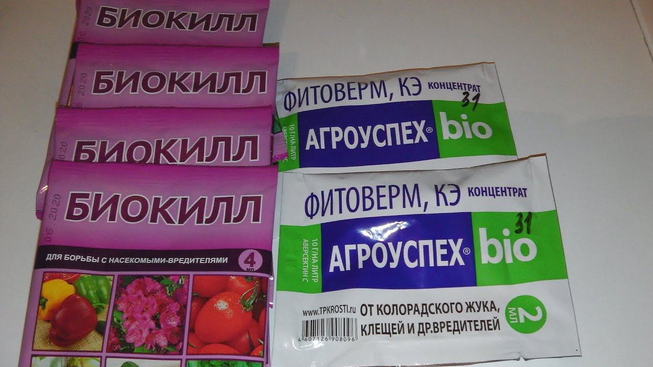 БИОКИЛЛ - ЗАМЕНИТЕЛЬ ВЕРТИМЕКА И АНАЛОГ ФИТОВЕРМА . КАКОЙ ПРЕПАРАТ ВЫБРАТЬ ? смотреть онлайн