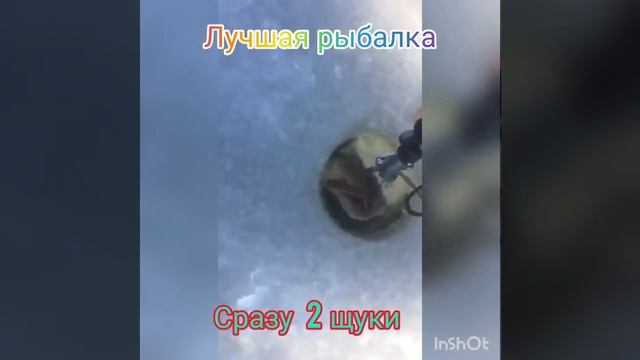 хороший улов, 2 щуки сразу смотреть онлайн