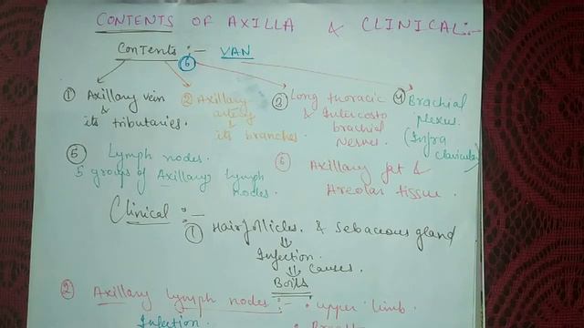 Contents of axilla and clinical anatomy of axilla || upperlimb anatomy смотреть онлайн