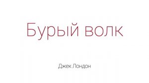 Бурый волк