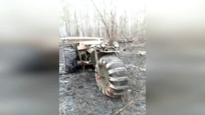 Рассказ охотника Пожар в лесу