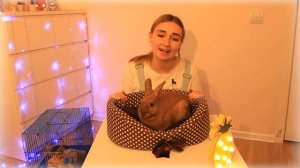 ПЛЮСЫ и МИНУСЫ содержания КРОЛИКА в доме / КАК НЕ ПОЖАЛЕТЬ