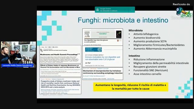 Ganoderma Lucidum, Hericium erinaceus e maca смотреть онлайн