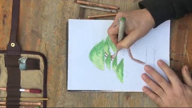 Juniperus Sabina Bonsai Draw смотреть онлайн