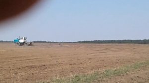 Боронование зяби