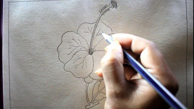 How TO Draw a China Rose Step By Step/Draw Hibiscus Flower смотреть онлайн