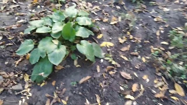 ЗАПОРОЖЬЕ ЕЛЕ ДОШЕЛ ДОМОЙ 25.10.22 смотреть онлайн