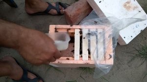 Расширяем нуклеусы!!!