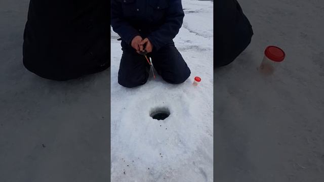 Зимняя рыбалка на Красноярском море смотреть онлайн