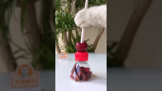 ?Easy To Make Refreshing Fruit Tea!?? | Three Flavors #catsofyoutube #tiktok смотреть онлайн