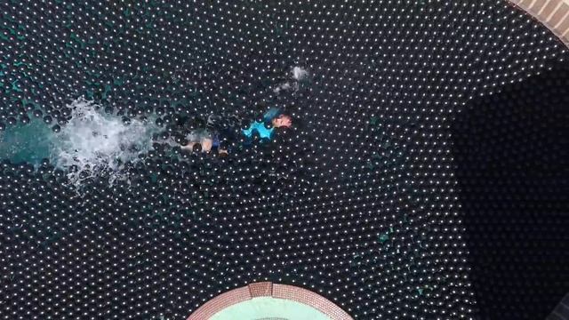 Can You Swim in Shade Balls? смотреть онлайн