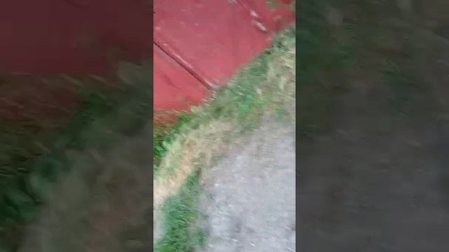 паркур часть 2 смотреть в 0 75 смотреть онлайн