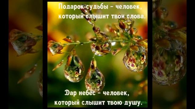 Самое тёплое чувство - это дорога домой... смотреть онлайн