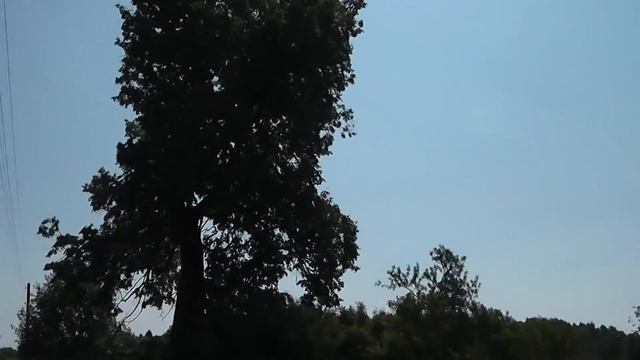 ~117 Проект ПЕТУХ Риолис 1479 #2 отчет смотреть онлайн