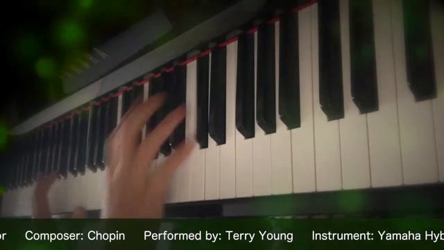 Chopin: Mazurka in A Minor Op.17 No.4 (Performed by Terry Young) смотреть онлайн
