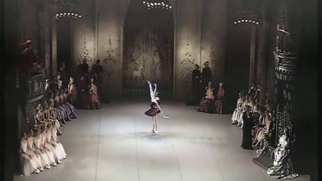Swan Lake Black Adagio Санкт-Петербург