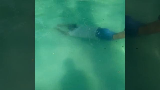 SHOWING HOW U HOLD YOUR BREATH UNDER WATER FOR 24 SECONDS IN STONETOWN ZANZIBAR AFRICA ???? смотреть онлайн