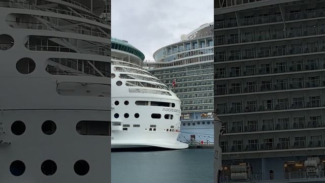ROYAL CARIBBEAN. NASSAU BAGAMAS.HARMONY OF THE SEAS. КРАСАВИЦЫ ЛАЙНЕРЫ В ПОРТУ. смотреть онлайн