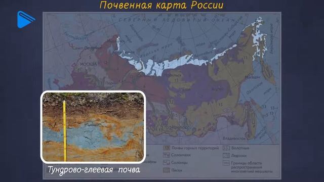 8 класс - География - Закономерности распространения почв смотреть онлайн
